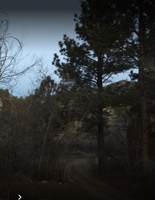 The stream shaded by tall pines on the Sunview RV Park property